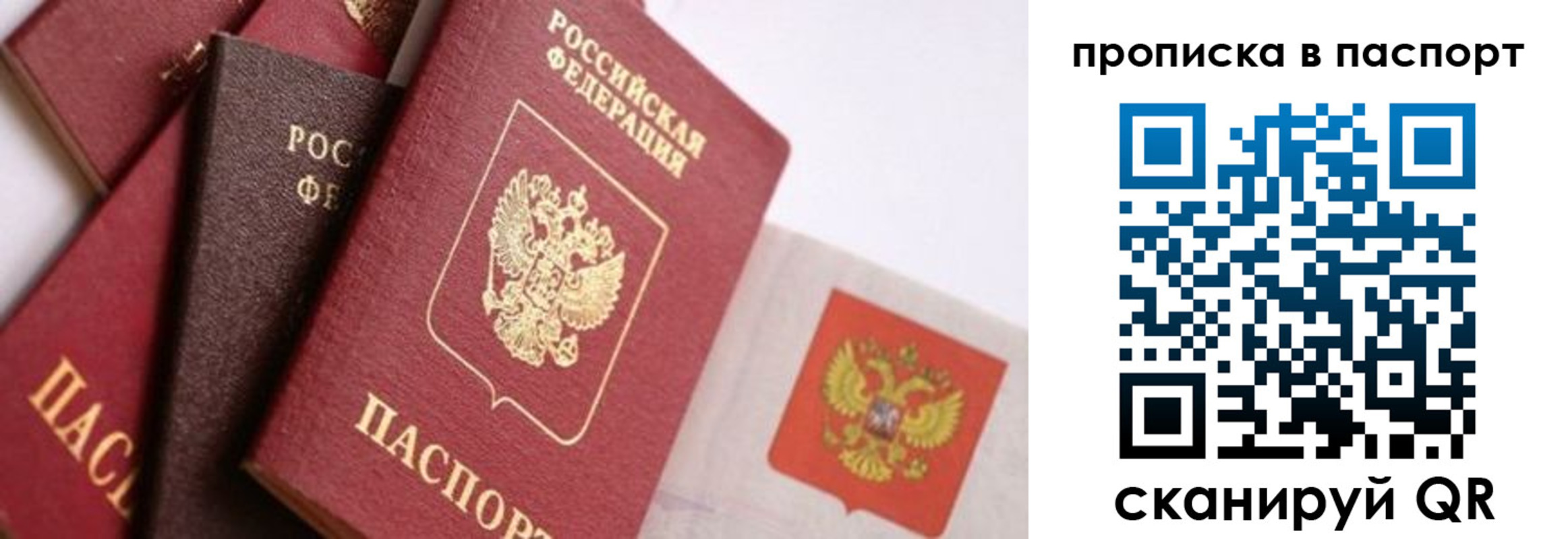 регистрация для школы в Мурино